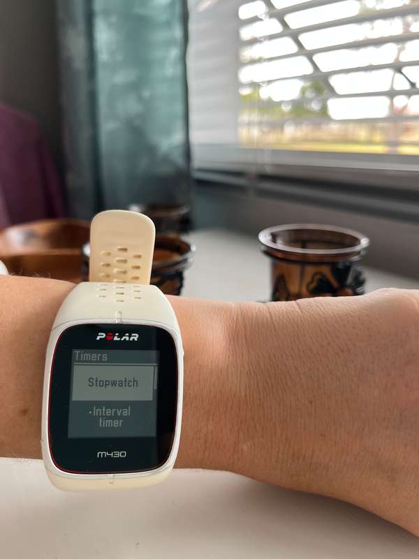 Polar M430 Watch