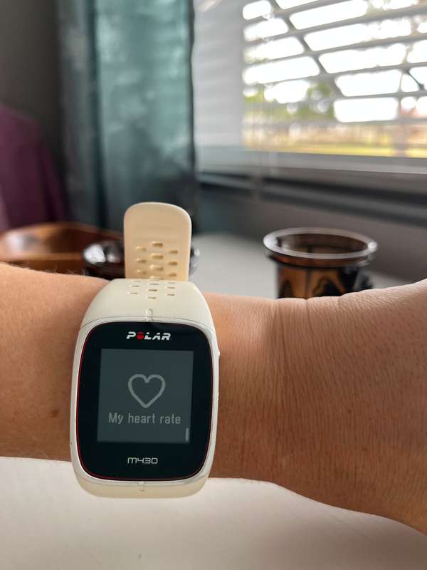 Polar M430 Watch