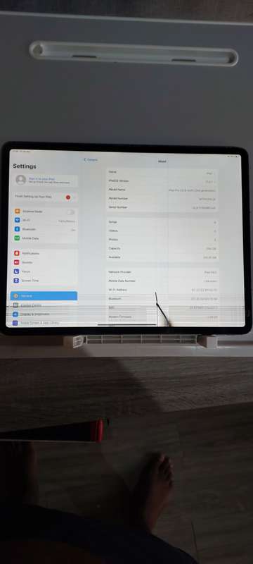 Apple iPad Pro 12.9-inch 3rd Generation 256GB WiFi & Cellular A1895