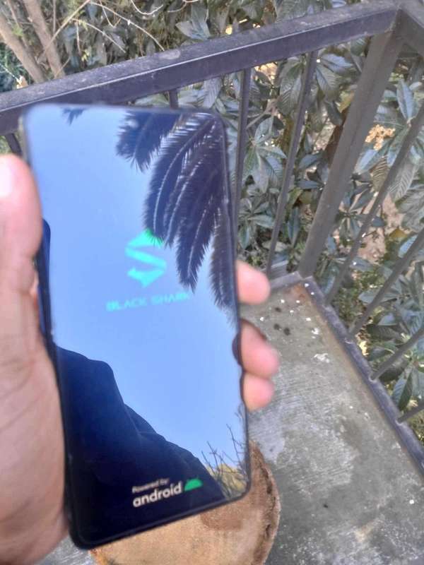 Black shark 4