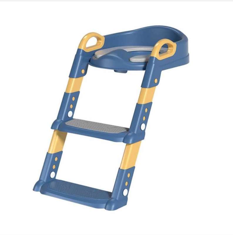 Kids Potty Training Seat with Ladder