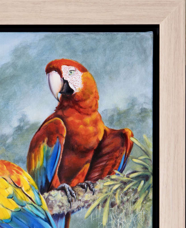 Scarlet Macaws
