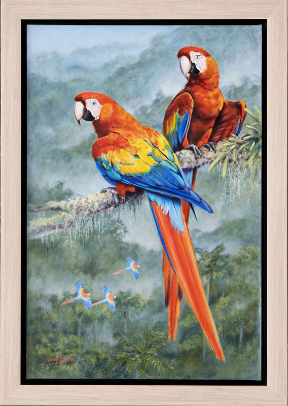 Scarlet Macaws