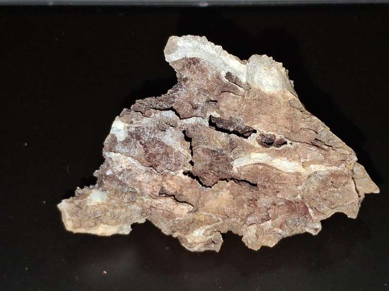 Quartz Cluster Shard