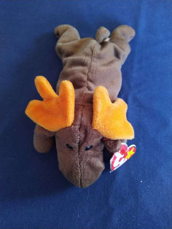 Chocolate Moose Plush -Beannie Baby