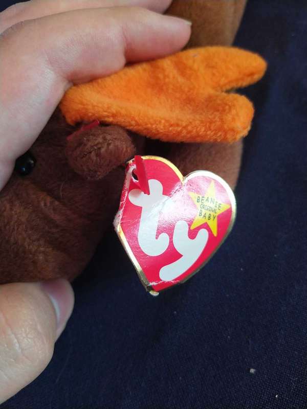 Chocolate Moose Plush -Beannie Baby