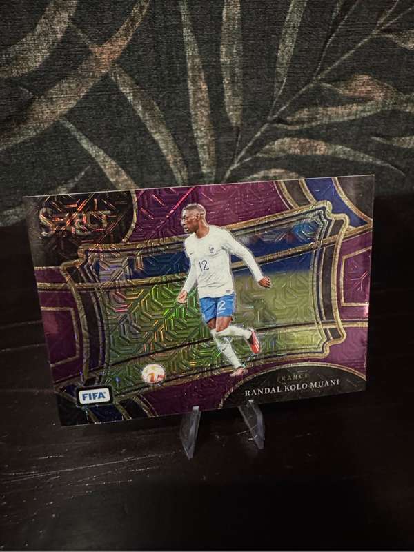 2023-24 Panini Select - Purple Mojo Field Level Bundle (Gavi, Donnarumma, Kolo Muani & Martinelli)