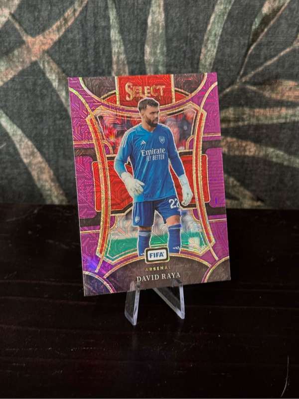 2023-24 Panini Select - David Raya Purple Mojo - Arsenal
