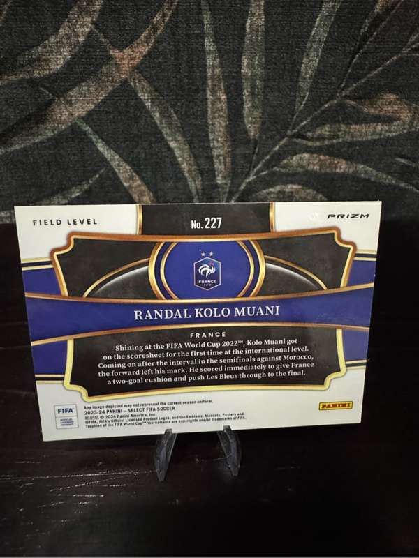 2023-24 Panini Select - Purple Mojo Field Level Bundle (Gavi, Donnarumma, Kolo Muani & Martinelli)