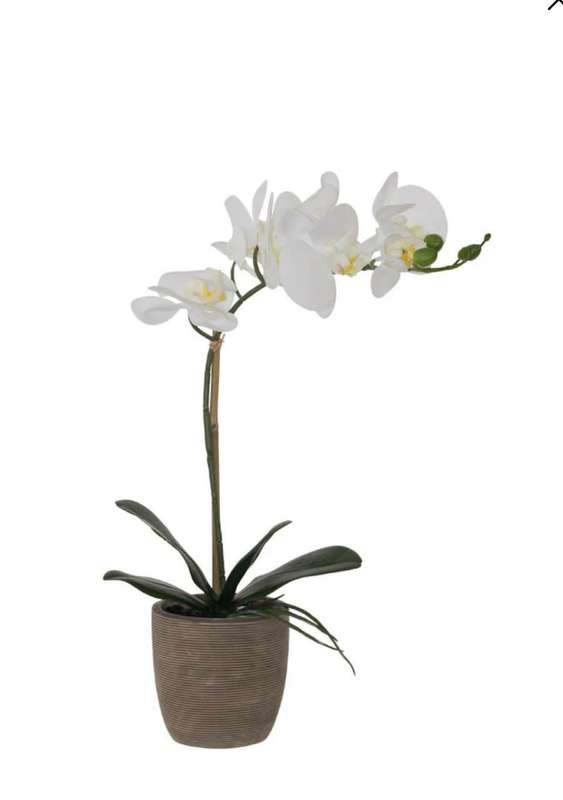Artificial White  Orchid in Ceramic Pot