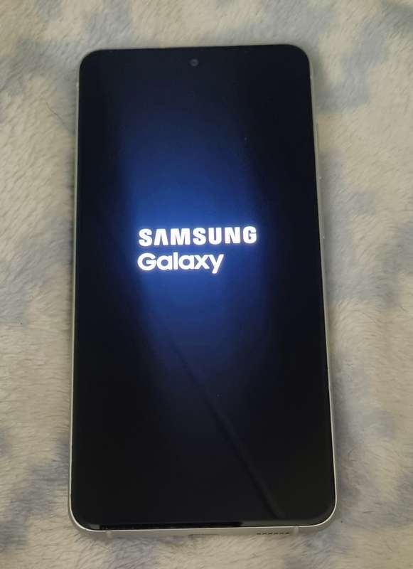 Dual Sim Samsung S21 fe 128G with USB Charger
