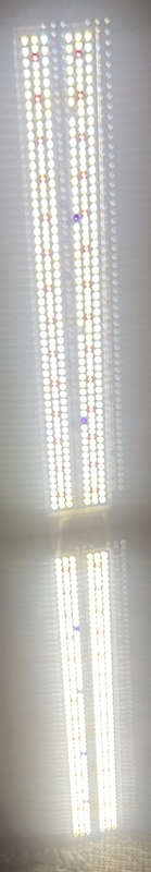 Mars Hydro SP250 LED Grow Light + Sonoff Smart Switch (Free Shipping)