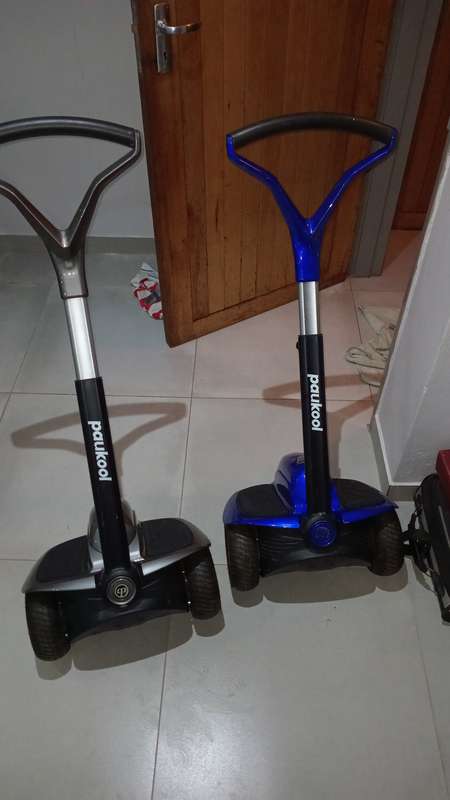 2x paukool s1