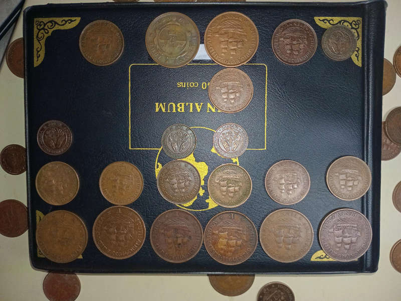 Sa union coins