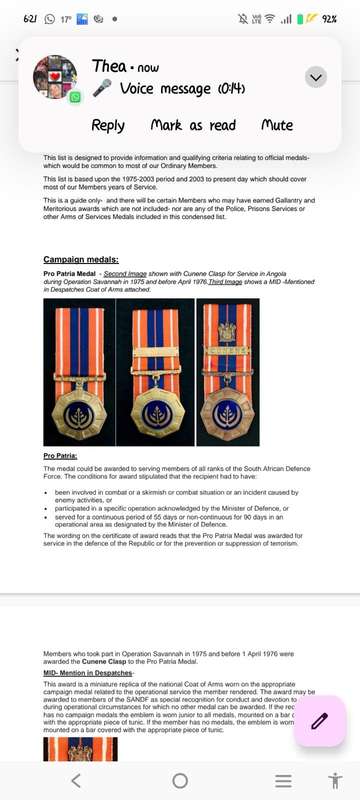 SANDF Medal