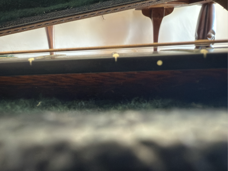 Martin DCPA 4 guitar - Rosewood