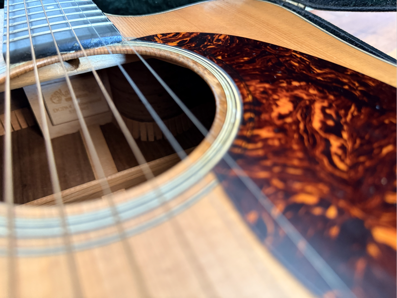 Martin DCPA 4 guitar - Rosewood