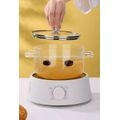 2 Pack-Cute Bear Transparent Glass Soup Pot
