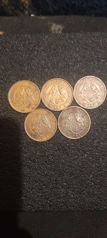 Old south african collection coins