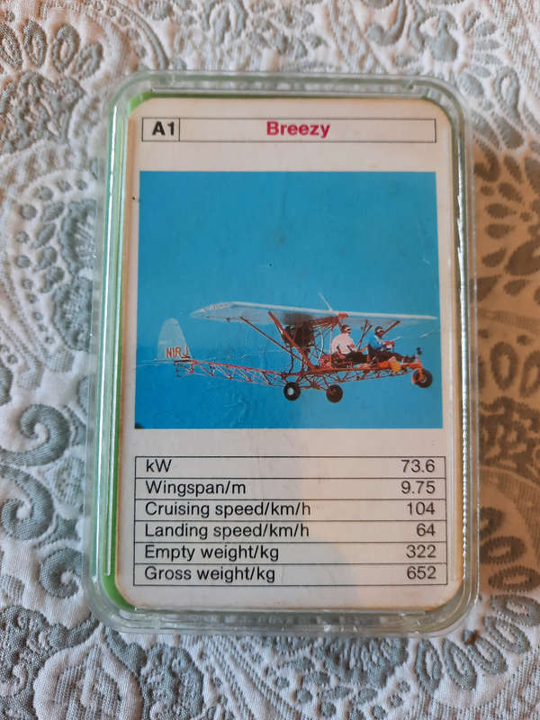 Vintage Card Game