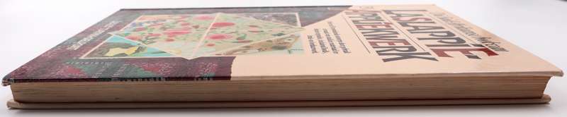 Die Suid-Afrikaanse Boek van Laslappie- en Appliekwerk - Lesley Turpin-Delport | Handwerk&Naaldwerk