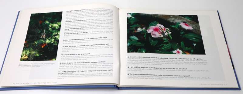 Gardening Solutions  Keith Kirsten