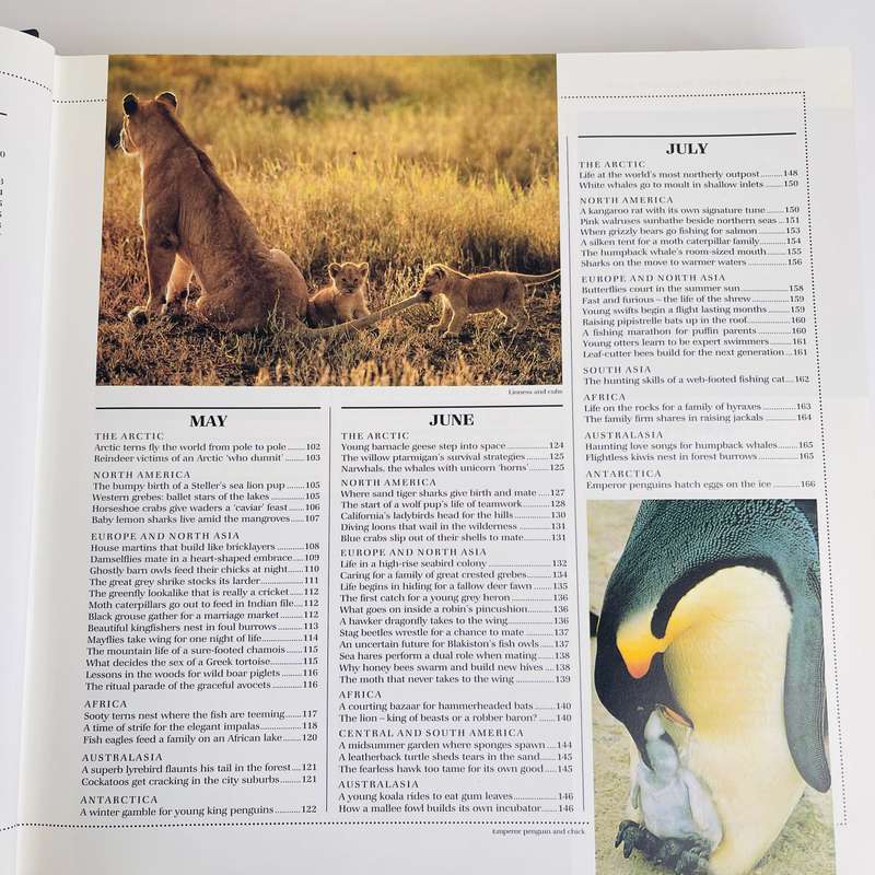 Reader's Digest:   The Wildlife Year (1991)
