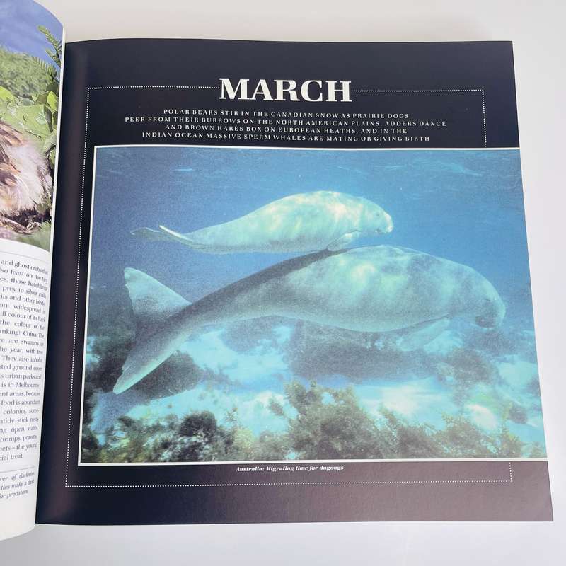 Reader's Digest:   The Wildlife Year (1991)