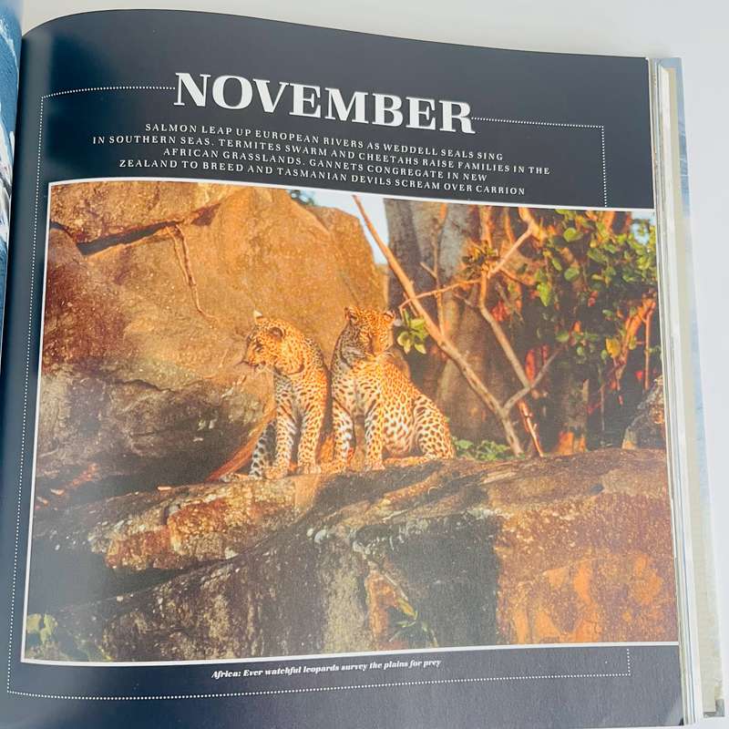 Reader's Digest:   The Wildlife Year (1991)