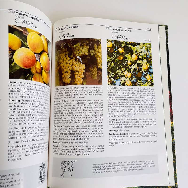 Down to earth Garden Book by Keith Kirsten and Owen Reid