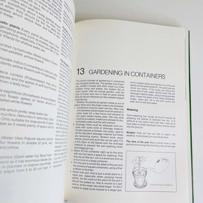 Gardening in South Africa by Zoe Gilbert
