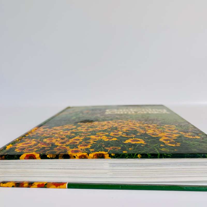 Gardening in South Africa by Zoe Gilbert
