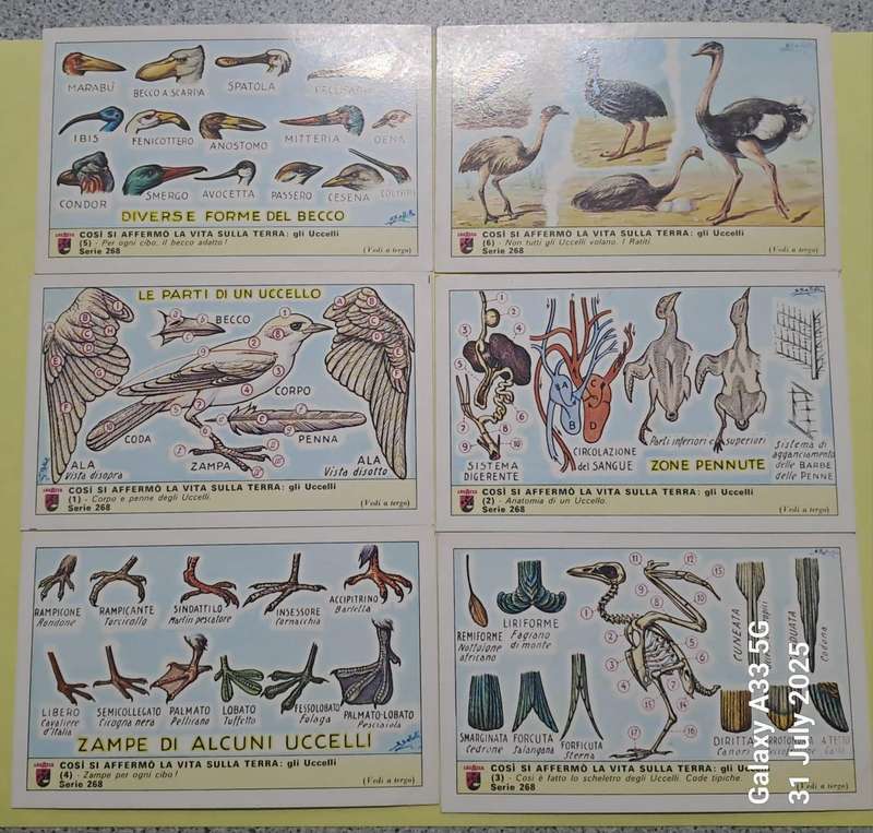 Lavazzo Collector Cards- 9 sets