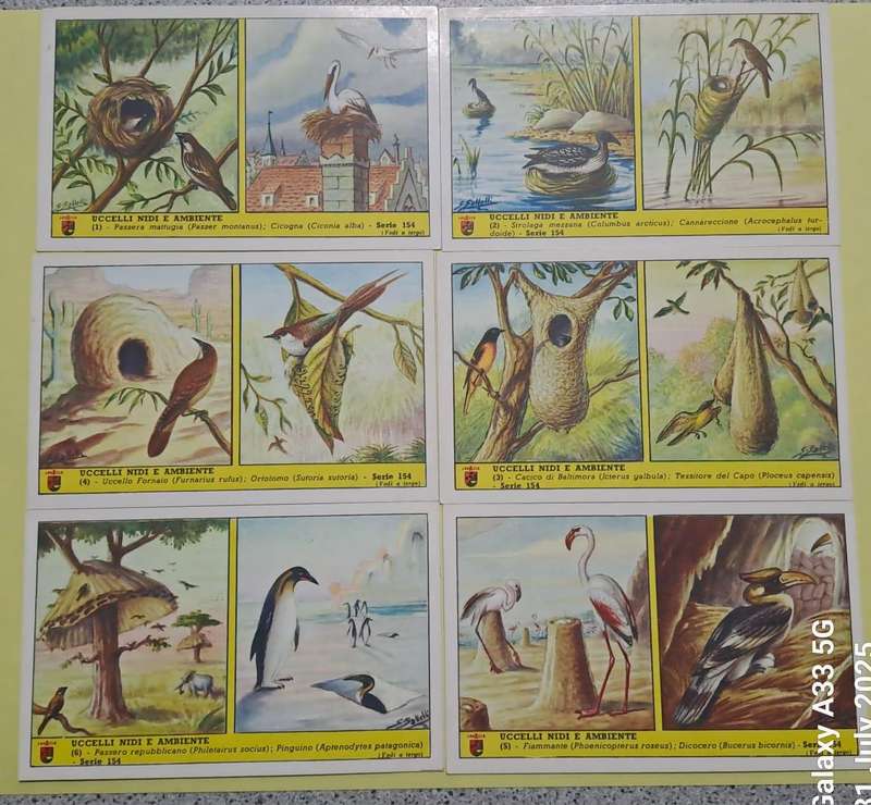 Lavazzo Collector Cards- 9 sets