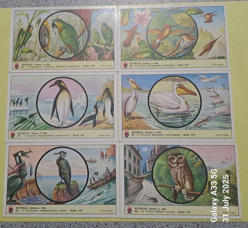 Lavazzo Collector Cards- 9 sets