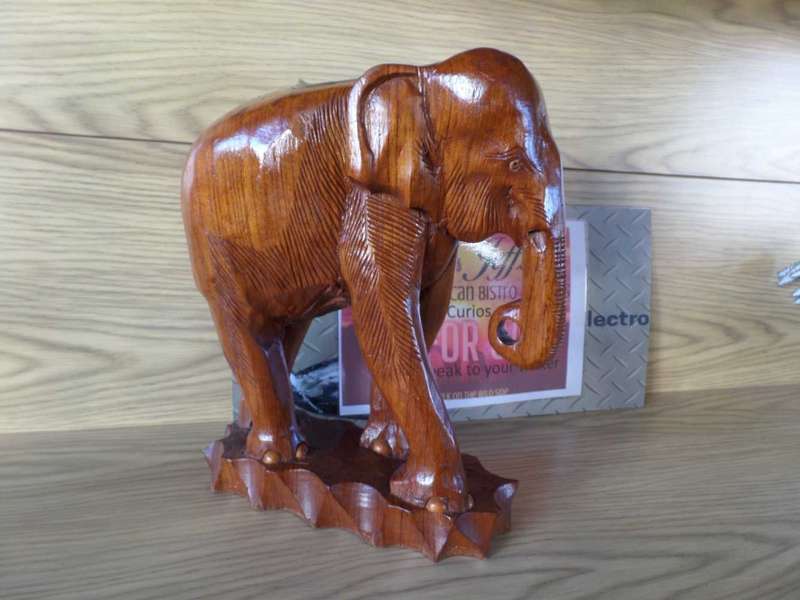 African Elephant