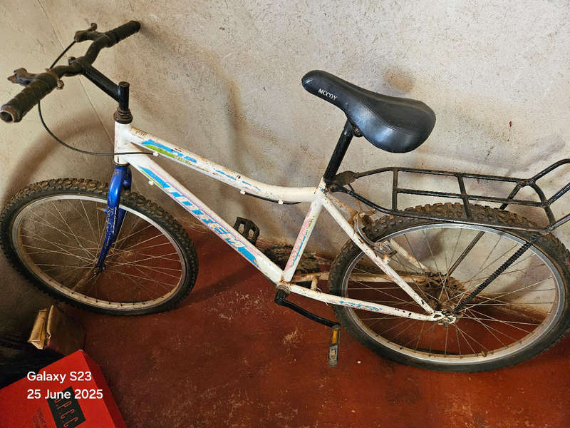 Bicycle