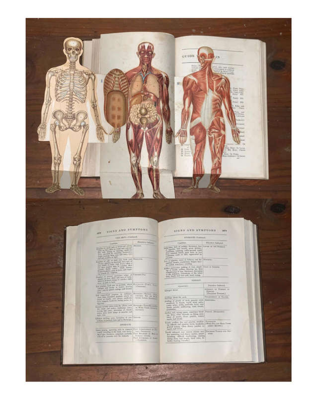 Encyclopaedia of health complete collection 1933 - Bernarr McFadden