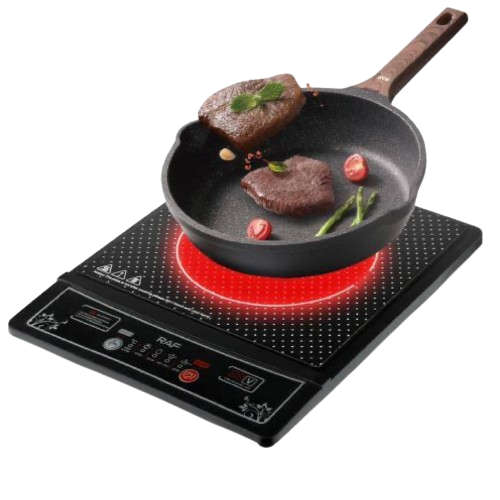 INDUCTION COOKER