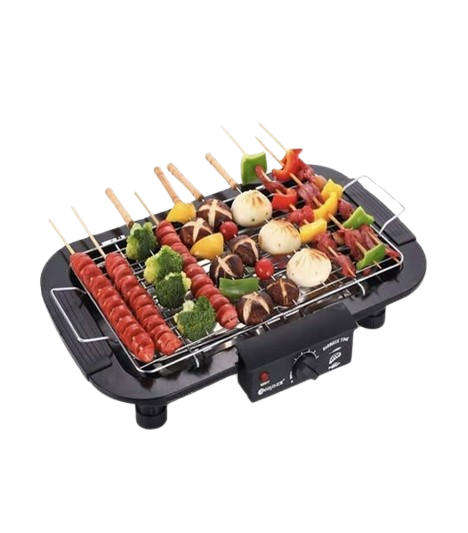 Electric BBQ Grill