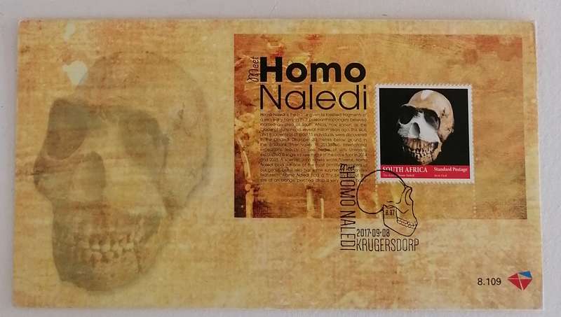 RSA 8.109 FDC