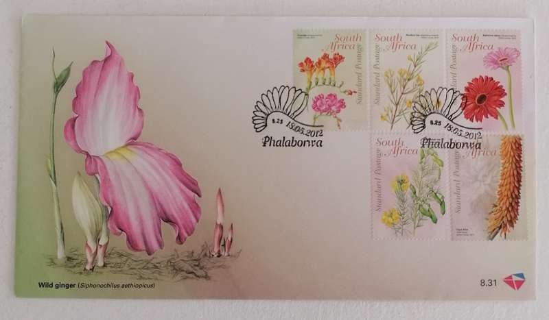RSA 8.31 FDC