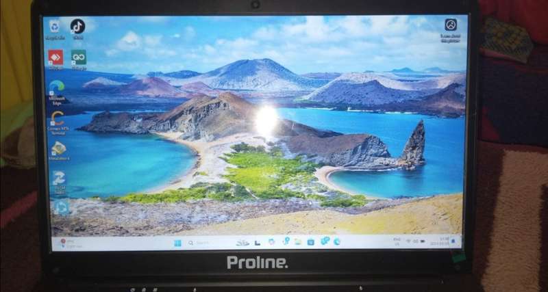 Proline laptop