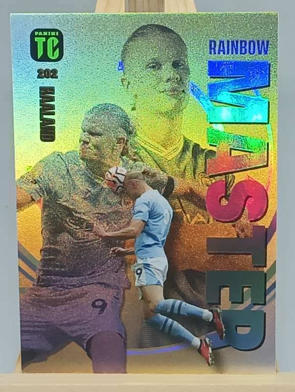 ERLING HAALAND- PANINI- TOP CLASS 2024- RAINBOW MASTER- FOIL #202