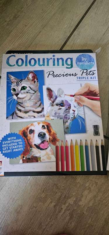 Colouring by numbers - Precious Pets
