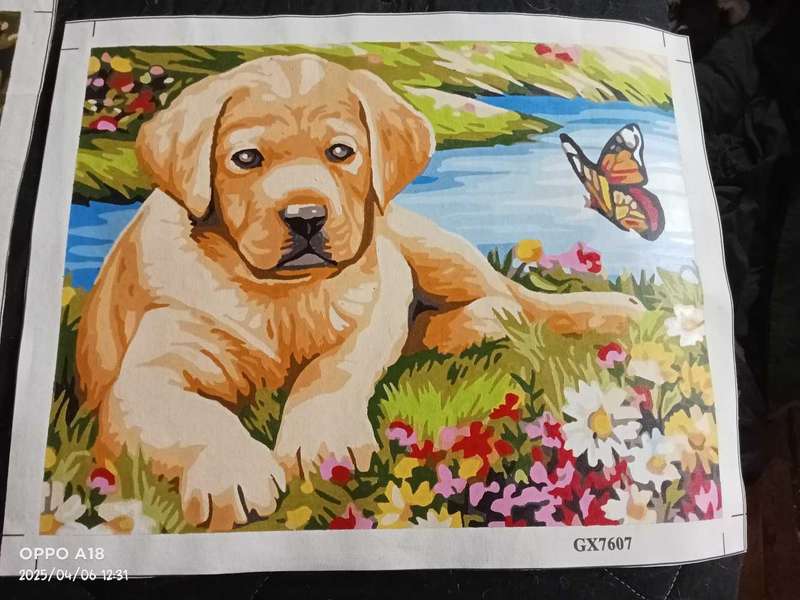 Completed Paintings