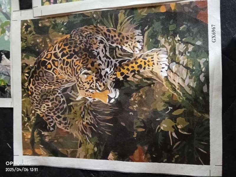 Completed Paintings