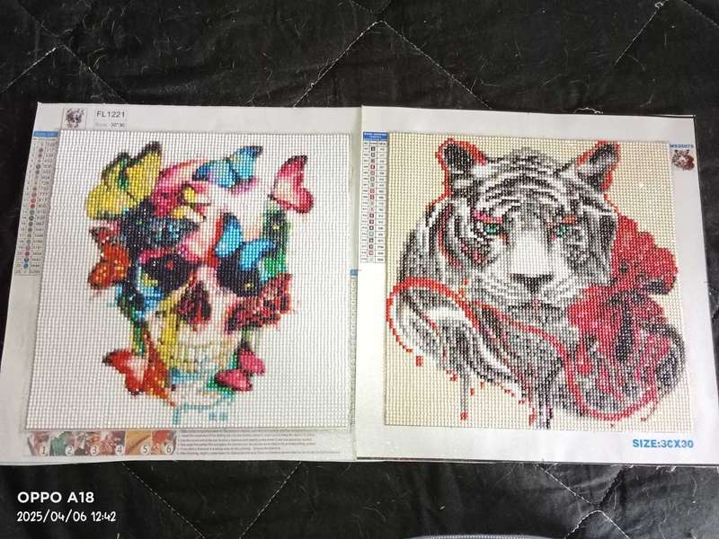 Completed Paintings