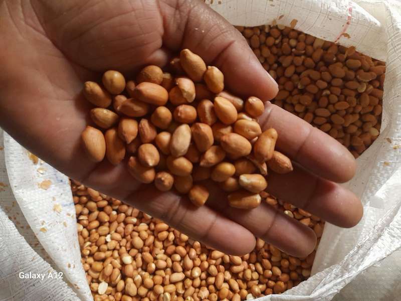 Raw nuts 1kg