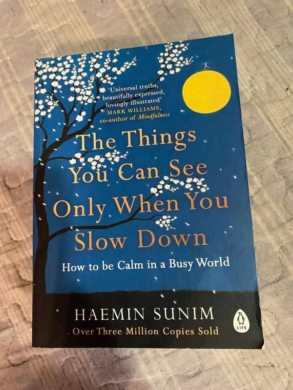 The Things You Can See Only When You Slow Down by Haemin Sunim